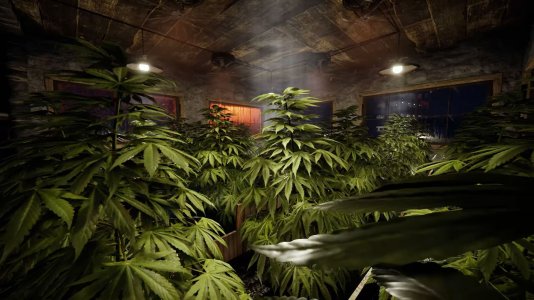 Rust-Hemp.jpg